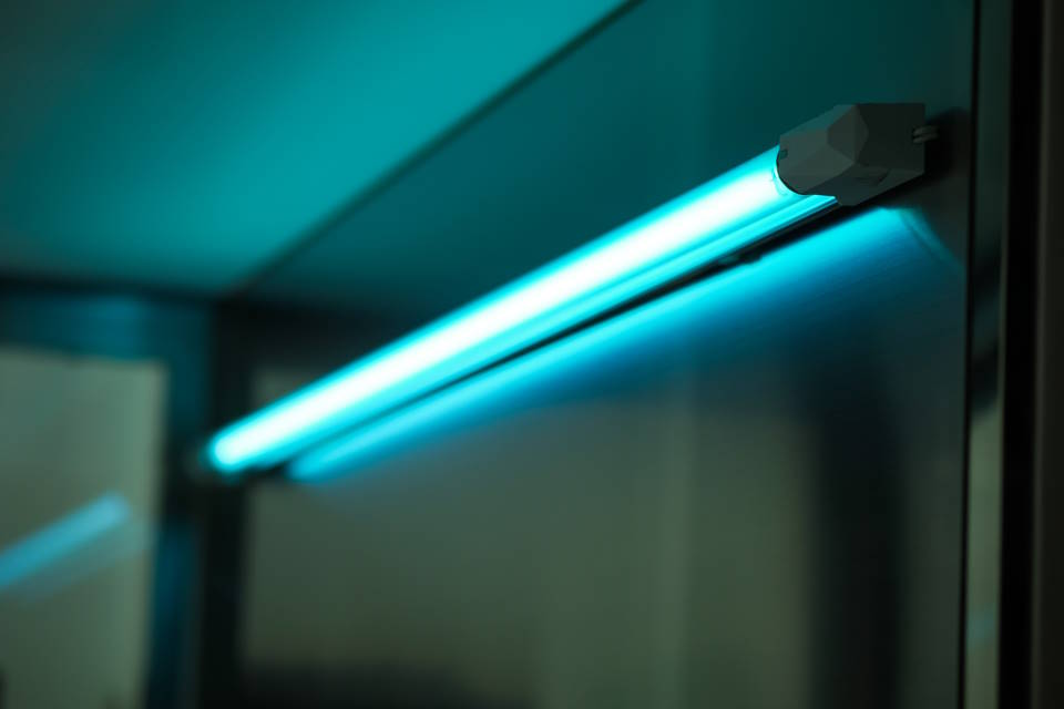 Does UV Light Kill Mold