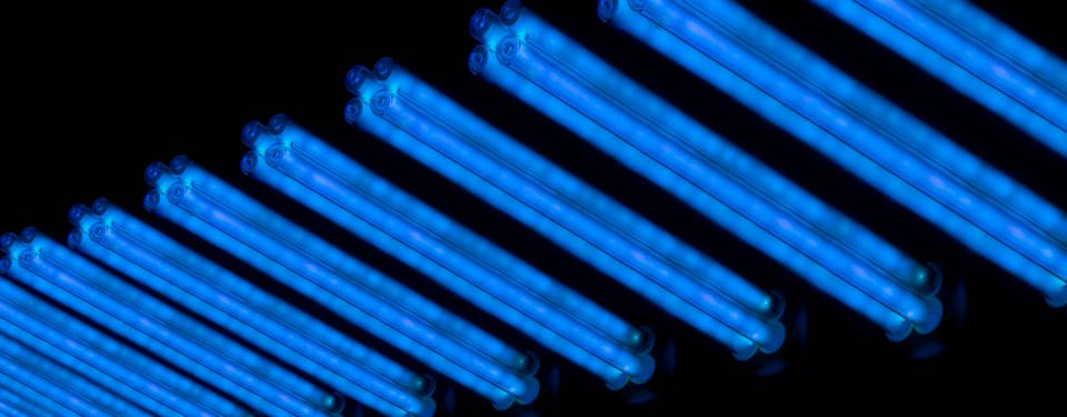 Does UV Light Kill Mold