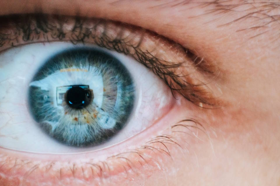Are Blue Eyes More Sensitive to Light